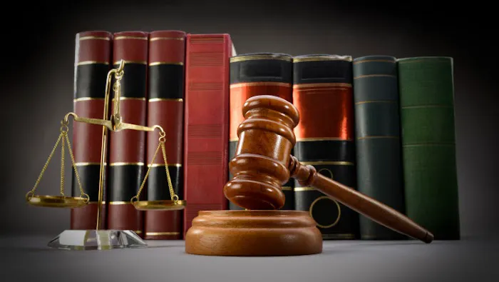 NGO LAW PRACTICE 0