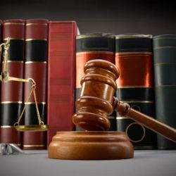 NGO LAW PRACTICE ico