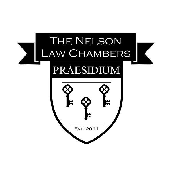 The Nelson Law Chambers LLC 0