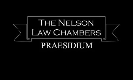 The Nelson Law Chambers LLC