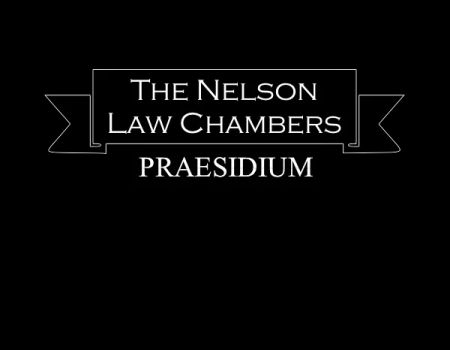 The Nelson Law Chambers LLC