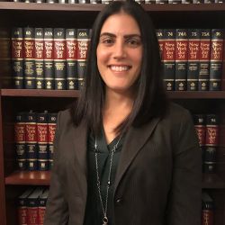 The Law Office of Heather M. Nappi, P.C. ico
