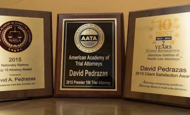 Law Office of David Pedrazas, PLLC