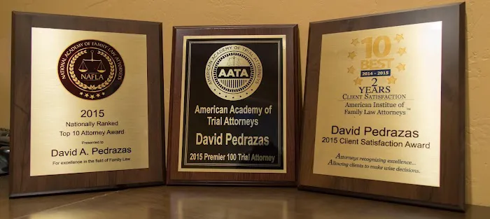 Law Office of David Pedrazas, PLLC 1