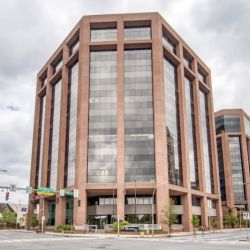 Morgan Legal Group, P.C. ico