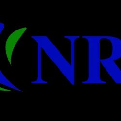 Neel, Robinson & Stafford, LLC. ico