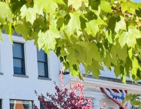 Philip Hersh Law Offices: Hersh Philip