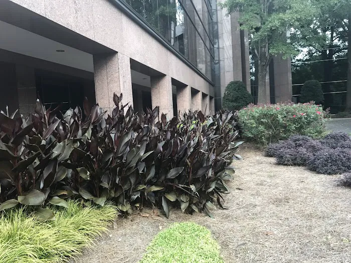 Sutlive and Associates LLC 3