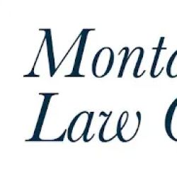 The Montanari Law Group, LLC ico