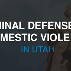 Veronica K. McDougal Attorney At Law ico