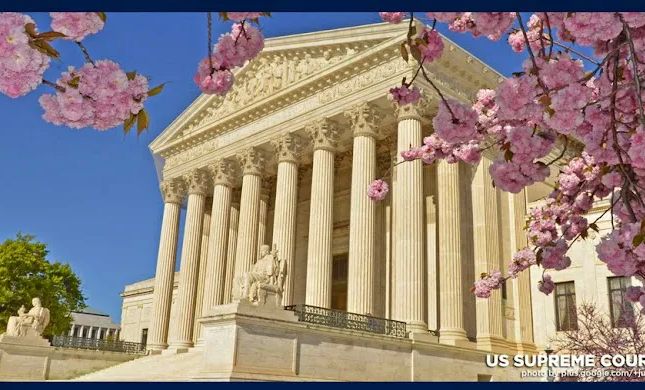Nursing Home Law Group, P.C