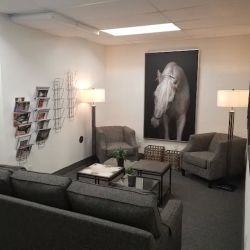 Chavez Law Firm ico