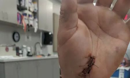 Lawbike Motorcycle Injury Lawyers