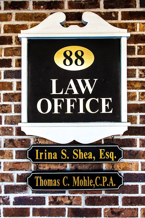 Irina S. Shea, Attorney at Law, LLC 3