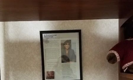 Law Office Of Angela C Femino LLC