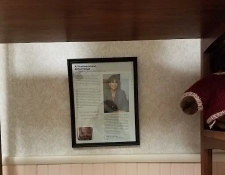 Law Office Of Angela C Femino LLC