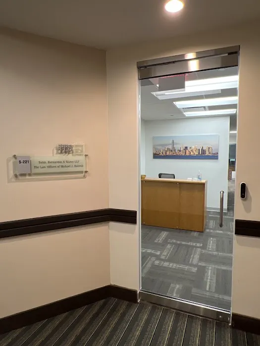 The Law Offices of Michael J. Borrelli, P.L.L.C. 0