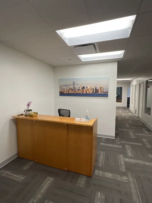 The Law Offices of Michael J. Borrelli, P.L.L.C. 1