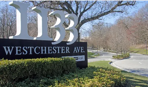 The Law Offices of Michael J. Borrelli, P.L.L.C. 5