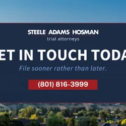Steele Adams Hosman ico