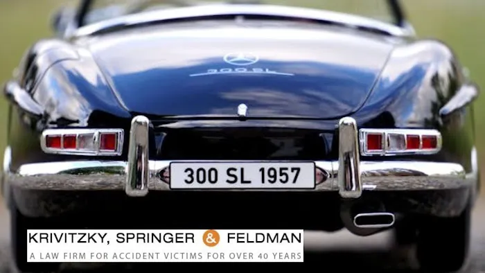 Krivitzky, Springer & Feldman 4