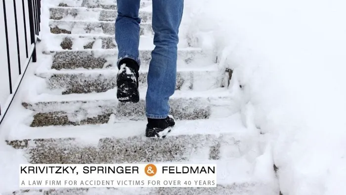 Krivitzky, Springer & Feldman 8