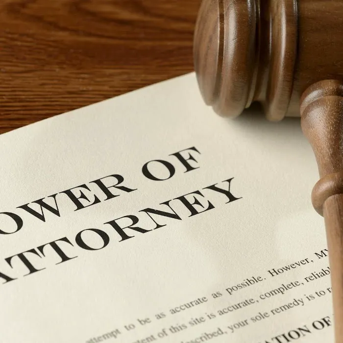 Catenaro Law 5