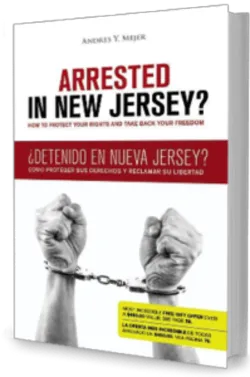 Andres Mejer Law 3