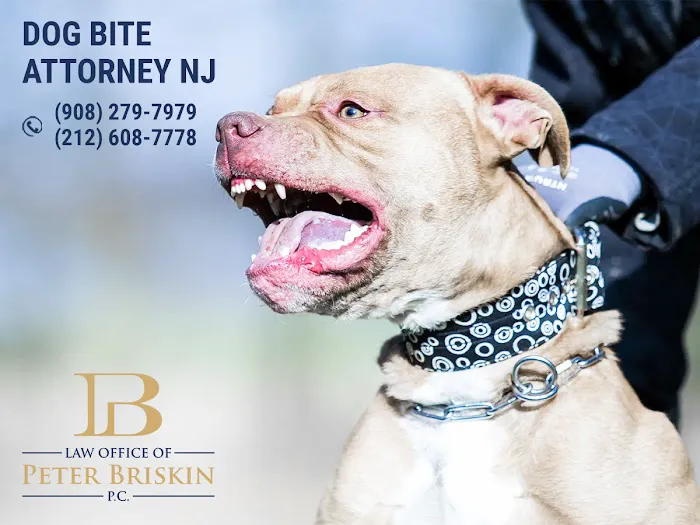 Peter Briskin P.c D/B/A Accident Lawyer NJ Peter Briskin 0