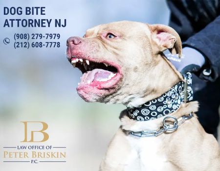 Peter Briskin P.c D/B/A Accident Lawyer NJ Peter Briskin