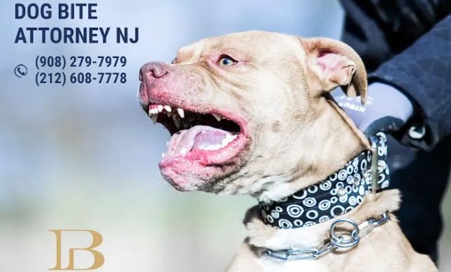 Peter Briskin P.c D/B/A Accident Lawyer NJ Peter Briskin
