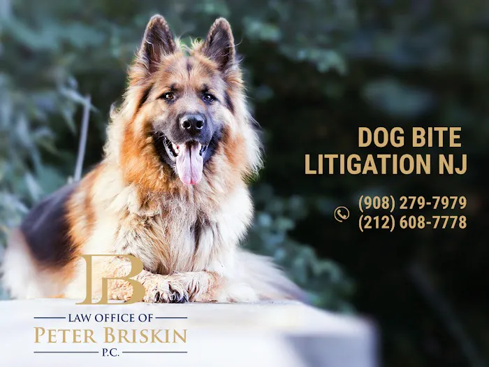 Peter Briskin P.c D/B/A Accident Lawyer NJ Peter Briskin 1