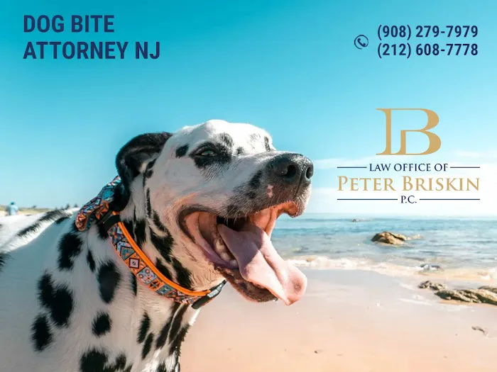 Peter Briskin P.c D/B/A Accident Lawyer NJ Peter Briskin 8