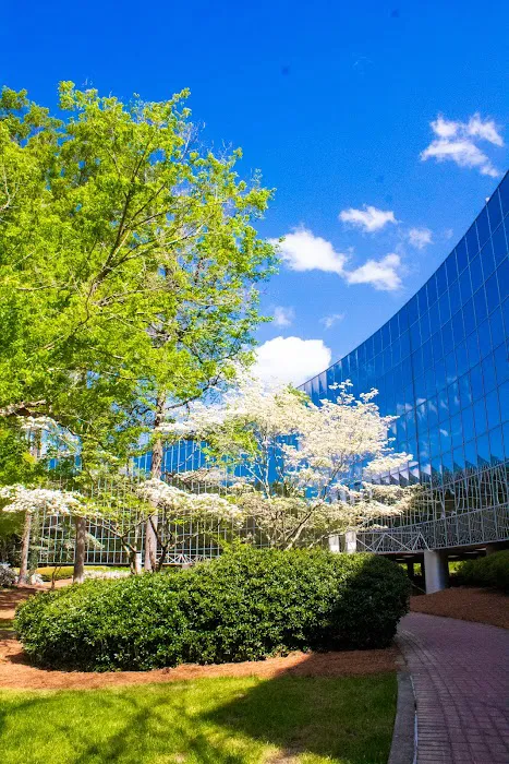 Johnstone Trial Law, LLC 3