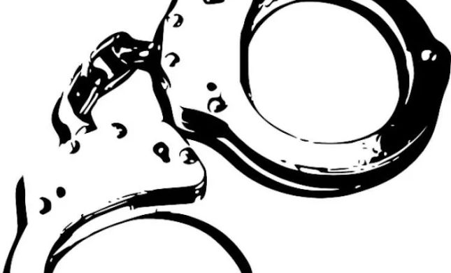 Levow DWI Law, P.C.