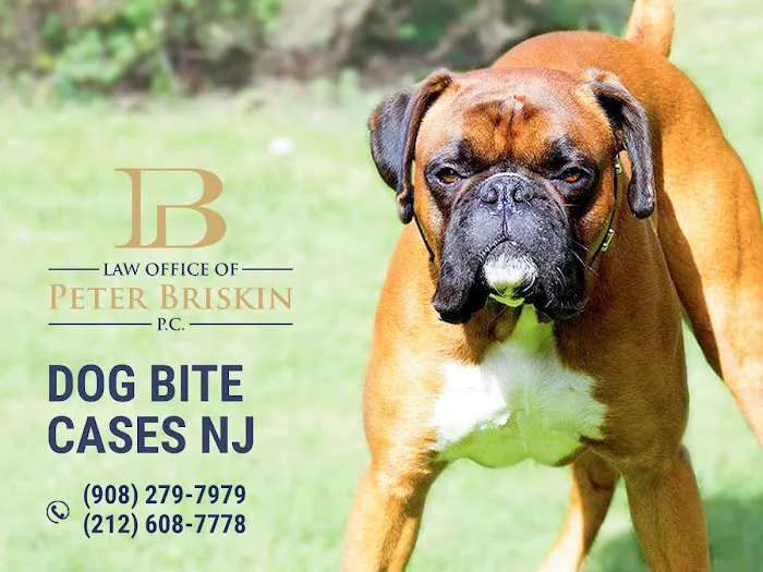 Personal Injury Lawyer Peter Briskin 6