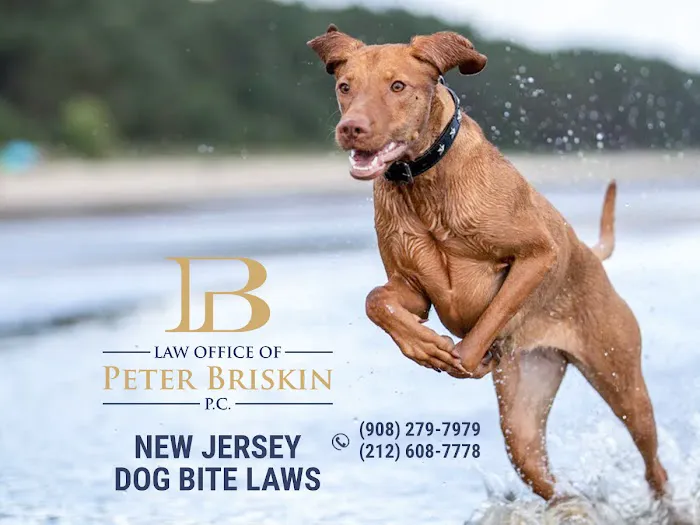 Personal Injury Lawyer Peter Briskin 9
