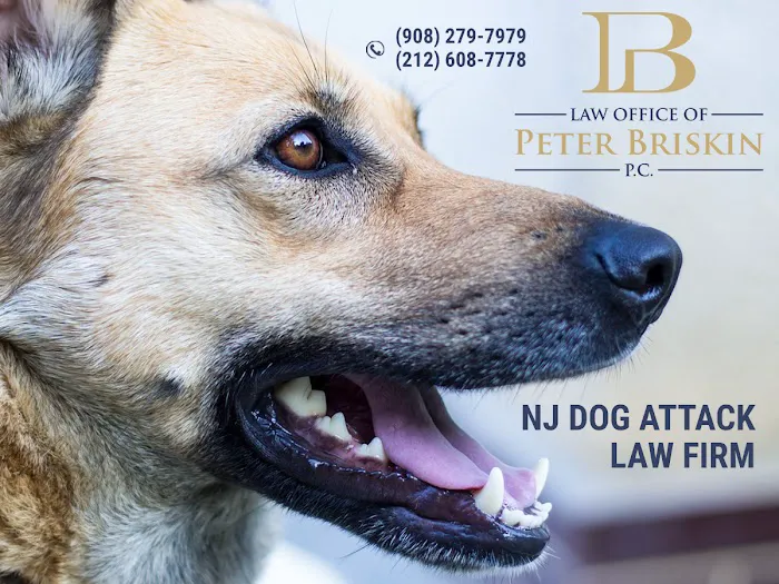 Personal Injury Lawyer Peter Briskin 1