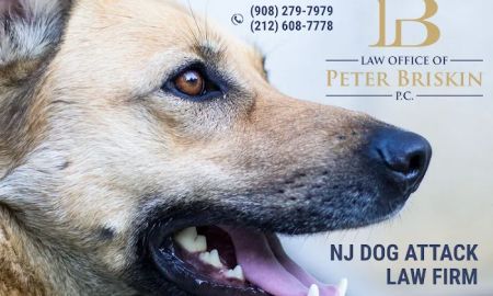 Personal Injury Lawyer Peter Briskin