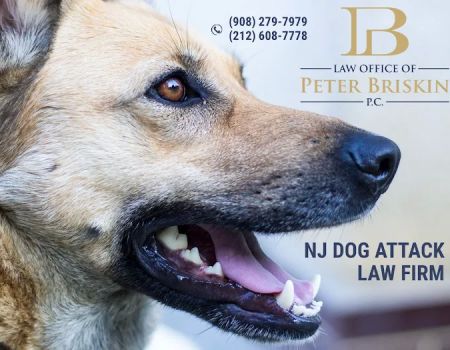 Personal Injury Lawyer Peter Briskin