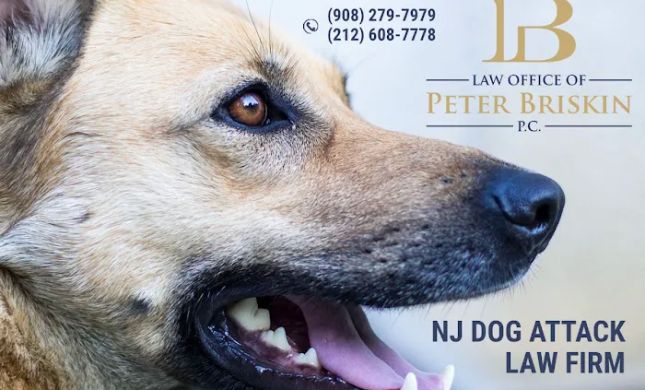 Personal Injury Lawyer Peter Briskin