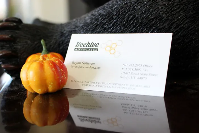 Beehive Advocates 6