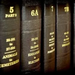 Adams Family Law Group, LLC ico