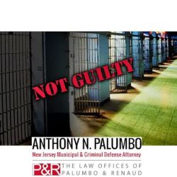 The Law Offices of Anthony N. Palumbo ico