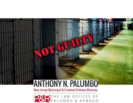 The Law Offices of Anthony N. Palumbo