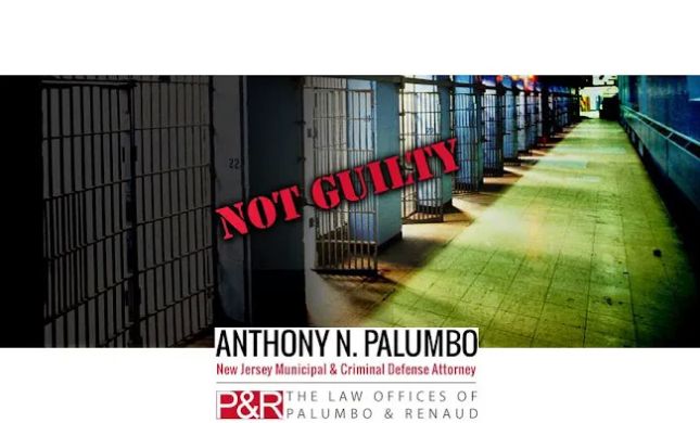 The Law Offices of Anthony N. Palumbo