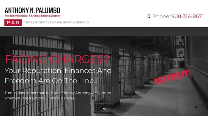 The Law Offices of Anthony N. Palumbo 2