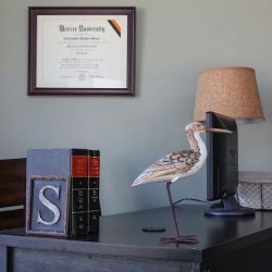 Christopher Simon Attorney at Law ico