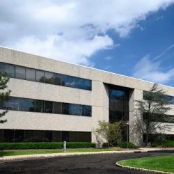 The Wacks Law Group, LLC ico