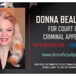 Donna J Beaulieu ico